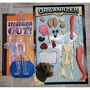 SmartLab Squishy Human‎ Body Anatomy Organs Biology Activity Insides Out